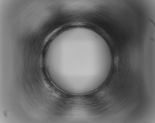 X0000103470724200809261903