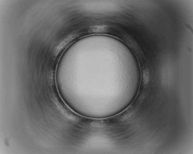 X0000103470725200809261903