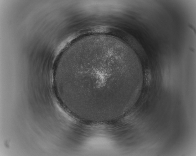 X0000103470726200809261904