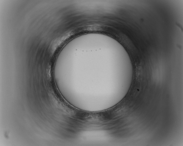 X0000103470727200809261904