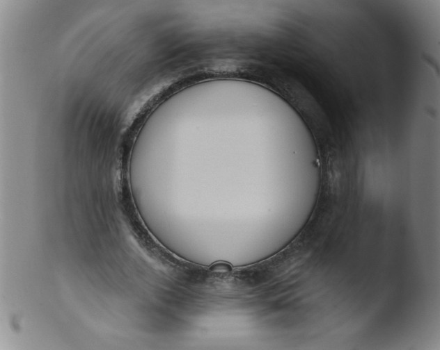 X0000103470728200809261904