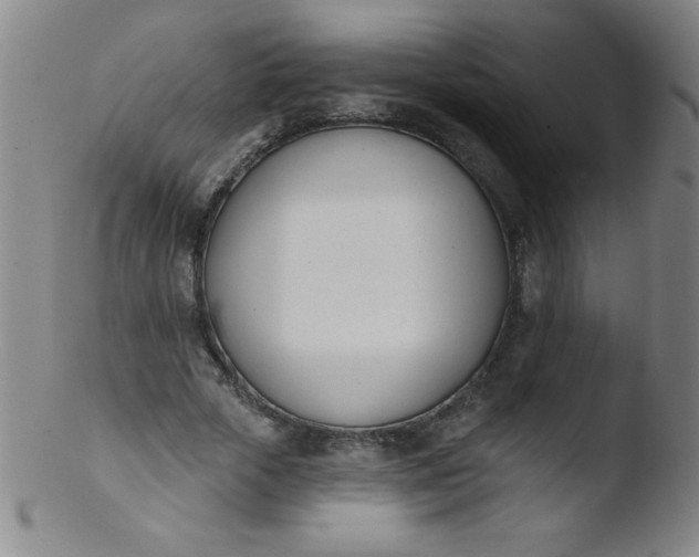 X0000103470729200809261904