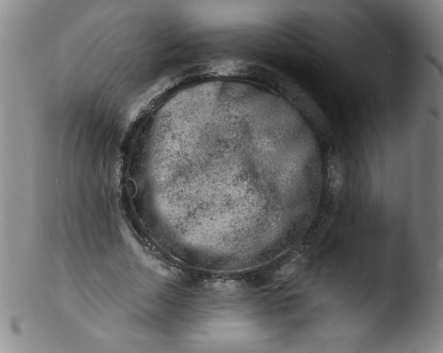 X0000103470730200809261904