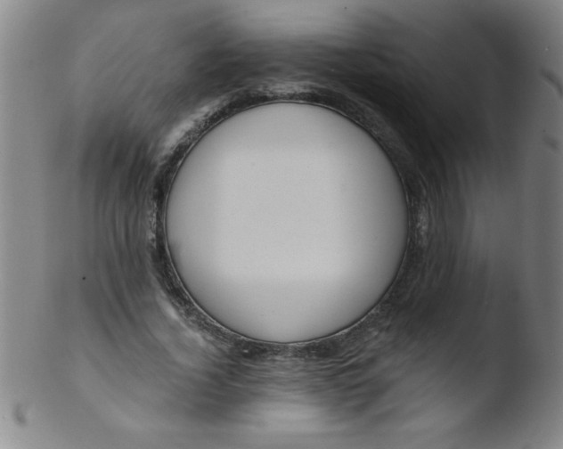 X0000103470732200809261904