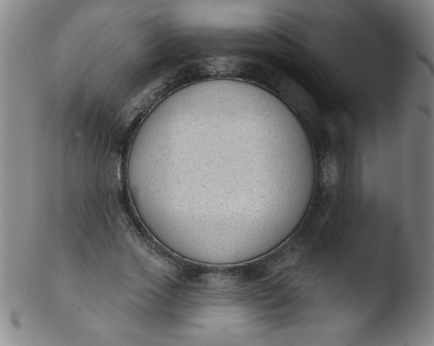 X0000103470733200809261904