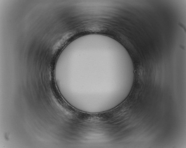 X0000103470734200809261904