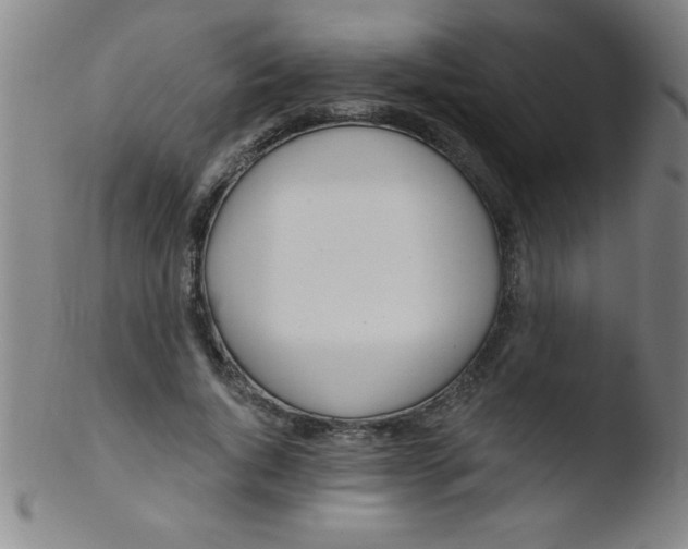 X0000103470736200809261904