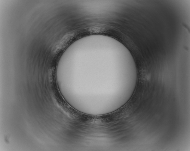 X0000103470738200809261904