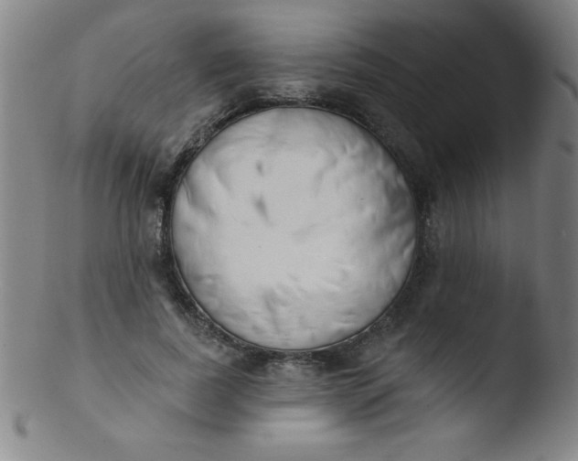 X0000103470739200809261904