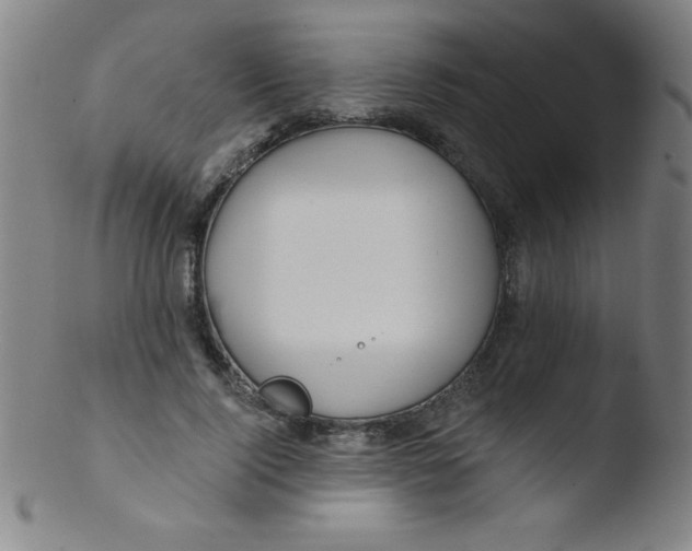 X0000103470740200809261904