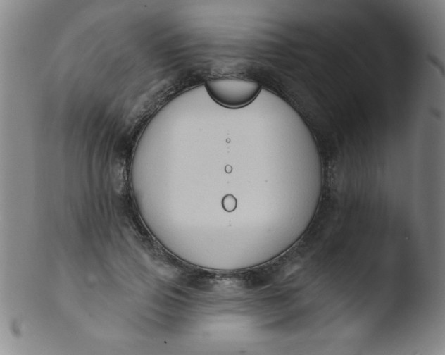 X0000103470741200809261904