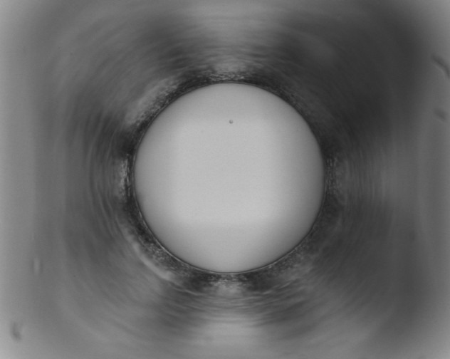 X0000103470742200809261904