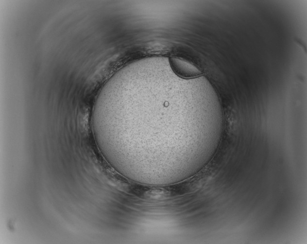 X0000103470745200809261904