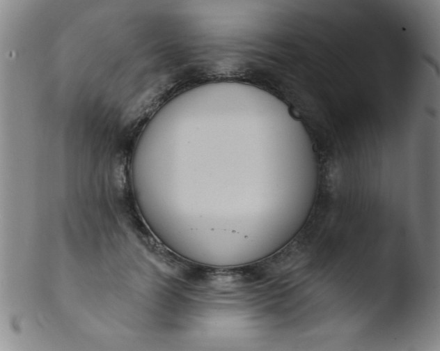 X0000103470746200809261904