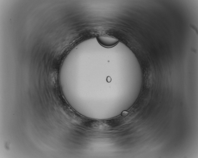 X0000103470747200809261904