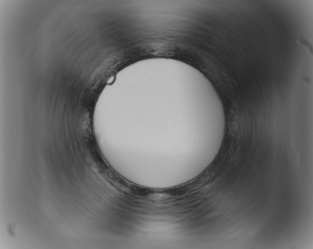 X0000103470748200809261904