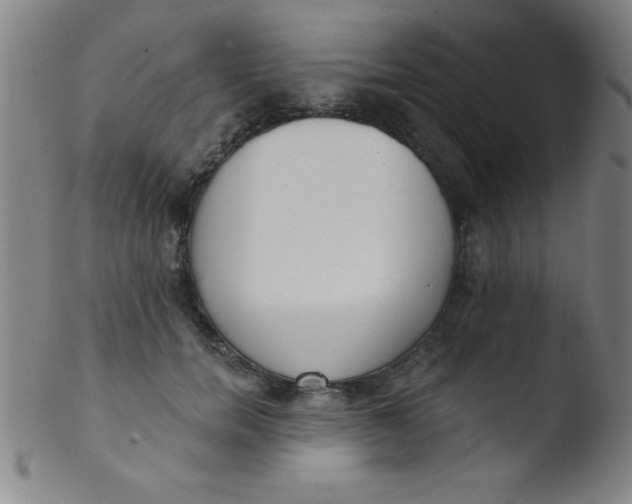 X0000103470750200809261904