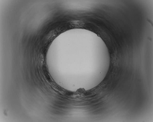 X0000103470752200809261904