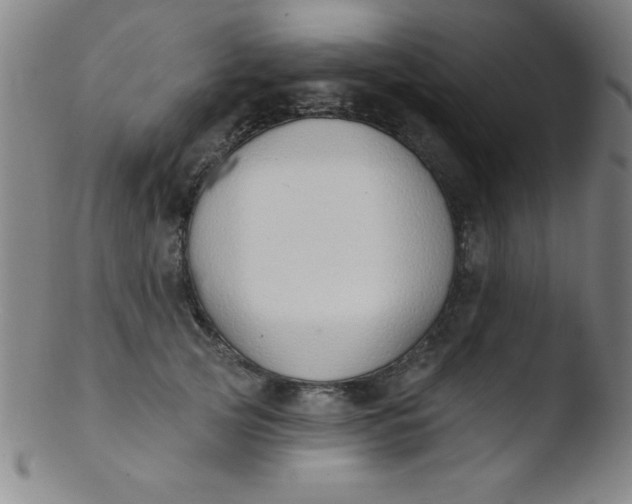 X0000103470753200809261904