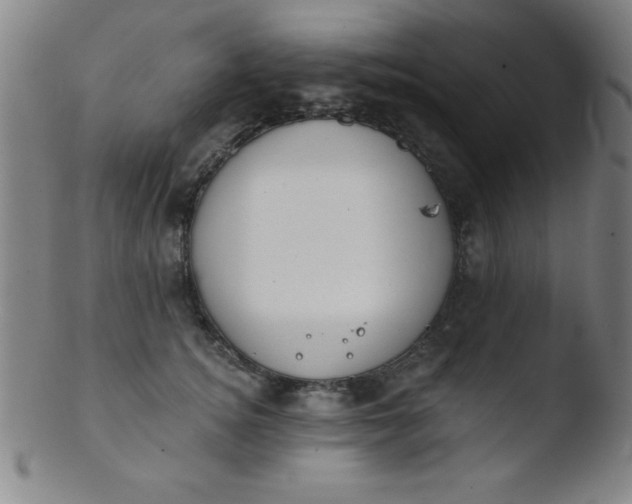 X0000103470756200809261904