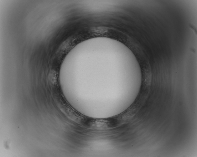 X0000103470758200809261904