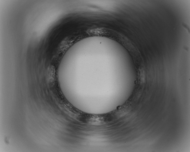 X0000103470760200809261904