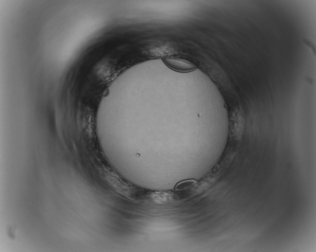 X0000103470762200809261904