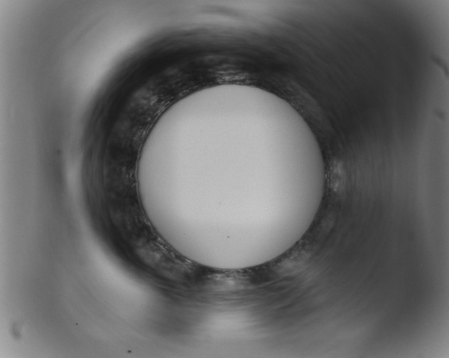 X0000103470763200809261904