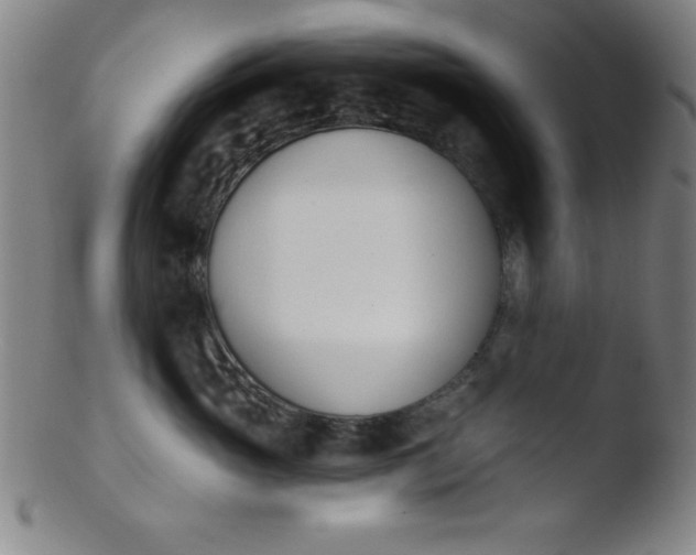 X0000103470765200809261904