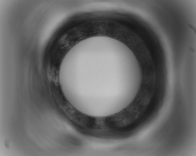 X0000103470766200809261904