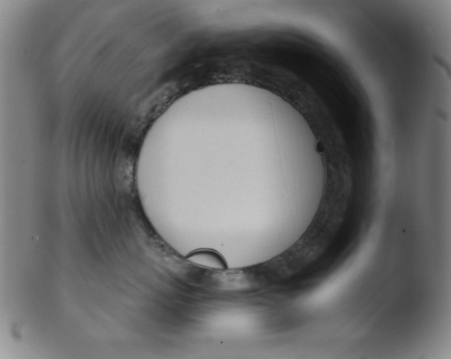 X0000103470767200809261904