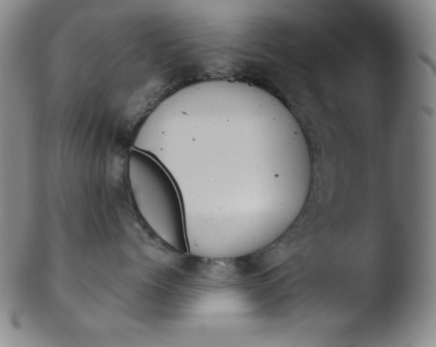 X0000103470768200809261904