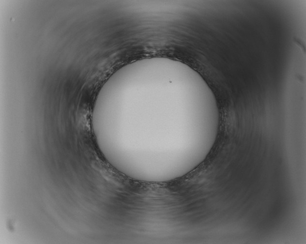 X0000103470770200809261903