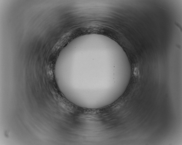 X0000103470771200809261903