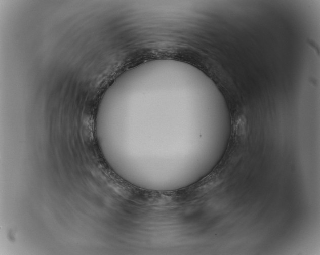 X0000103470772200809261903