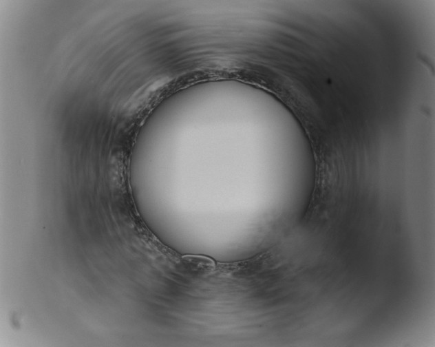 X0000103470773200809261903