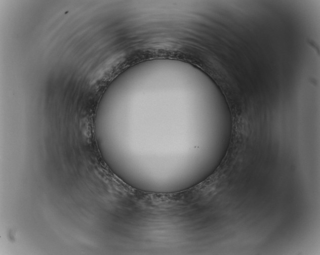 X0000103470774200809261903