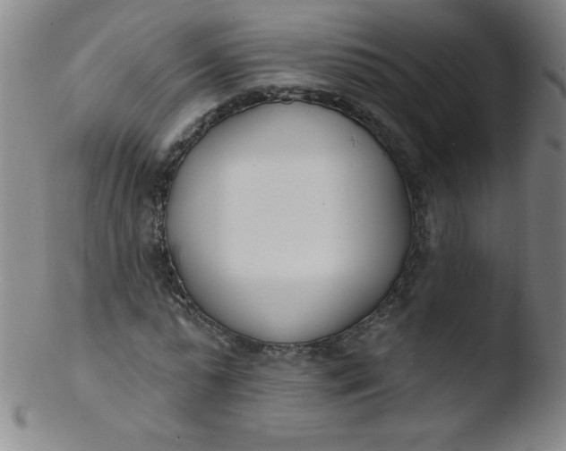 X0000103470775200809261903