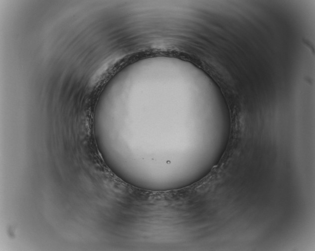 X0000103470776200809261903