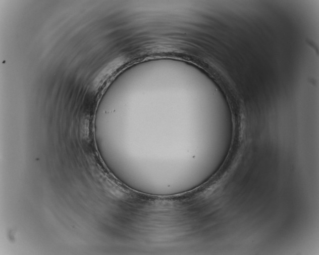 X0000103470777200809261903