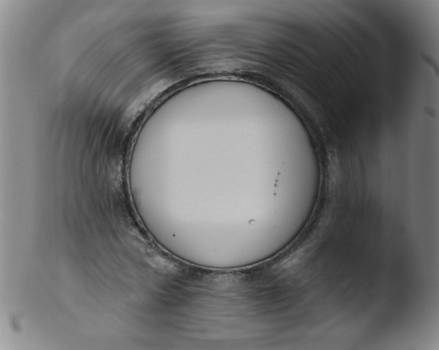 X0000103470778200809261903