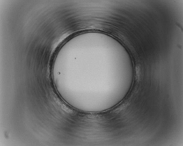 X0000103470780200809261903