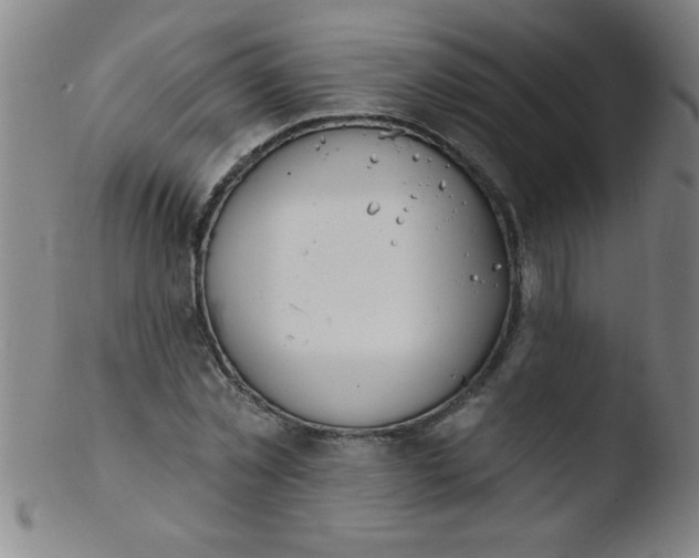 X0000103470781200809261903