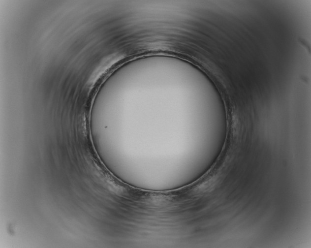 X0000103470782200809261903