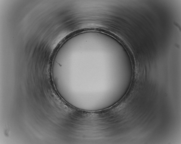 X0000103470783200809261903