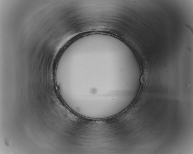 X0000103470784200809261903