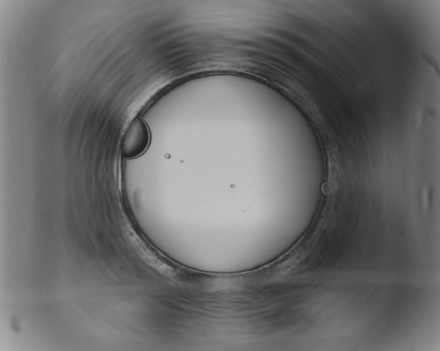 X0000103470796200809261903