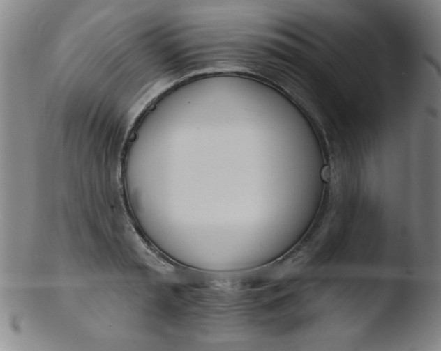 X0000103470797200809261903