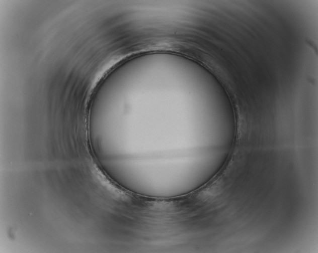 X0000103470800200809261903