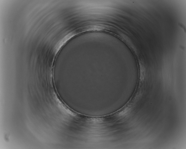 X0000103470802200809261903